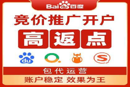某电商平台信息流广告的精准推广策略